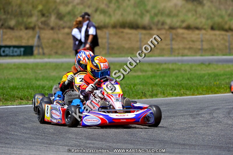 DSC_ (1481).jpg